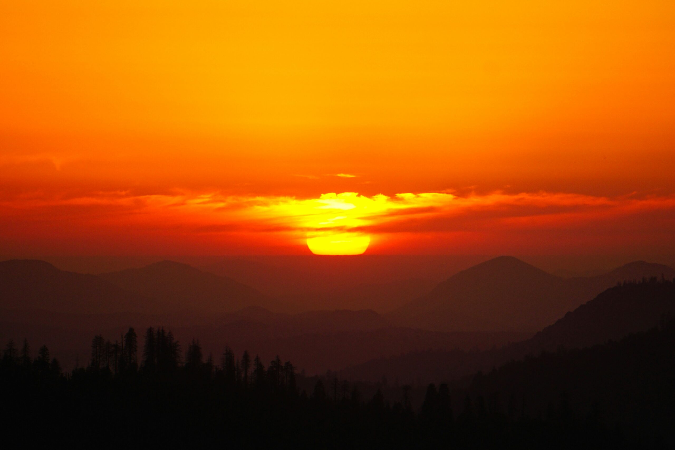 CRO optimaliseren ondanks de sunset van Google Optimize